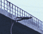 bungee3